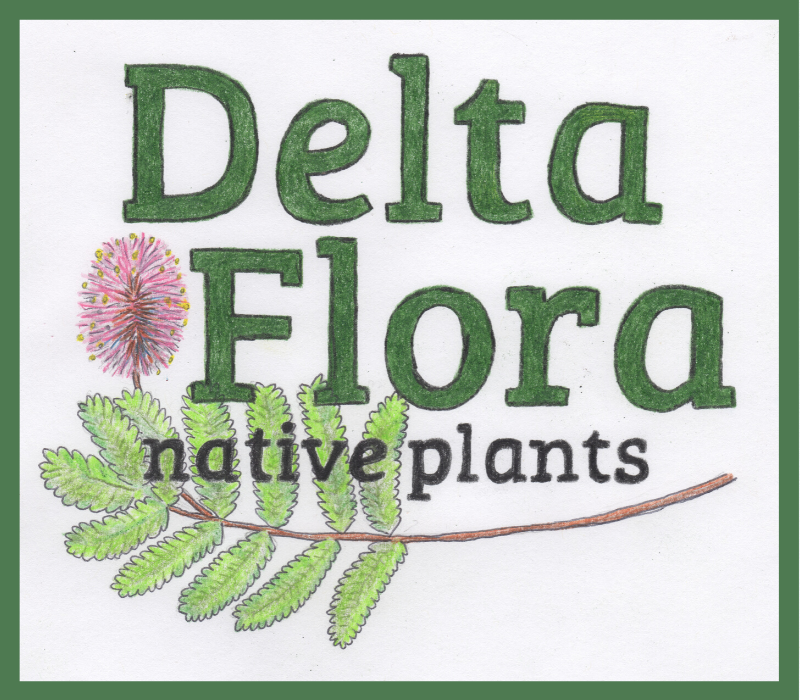 Delta Flora Native Plants