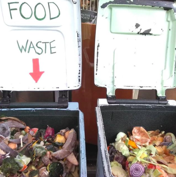 Picture of two open compost bins 