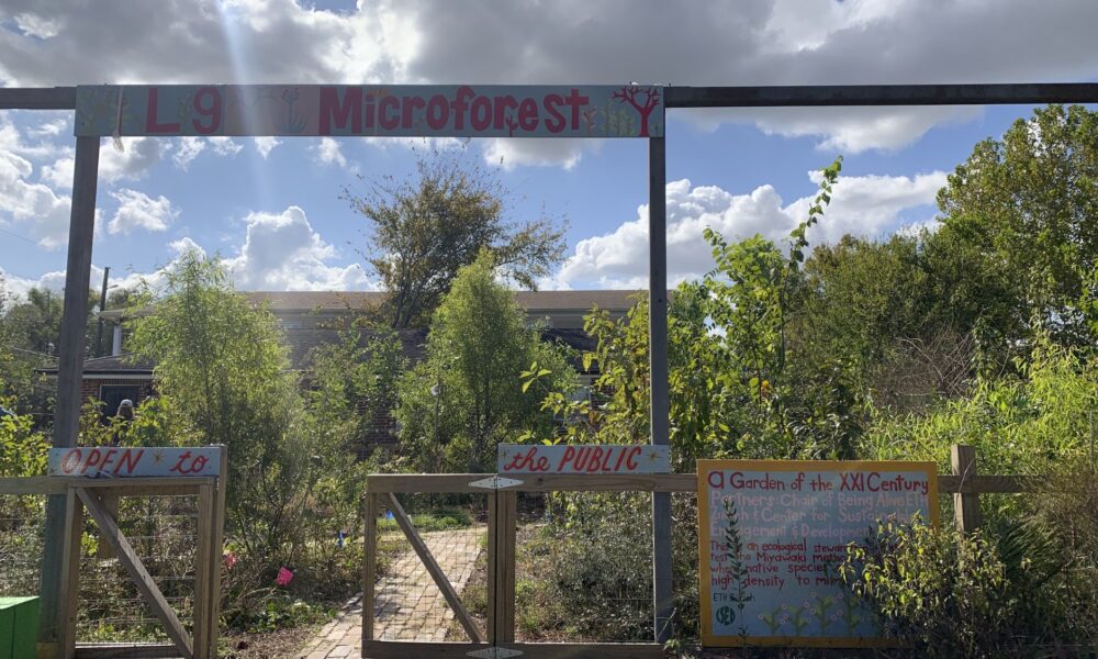 Garden of the XXI Century